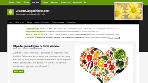 vidasana.lapipadelindio.com